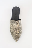 כפכפי אורנוס - מנוחש עדין